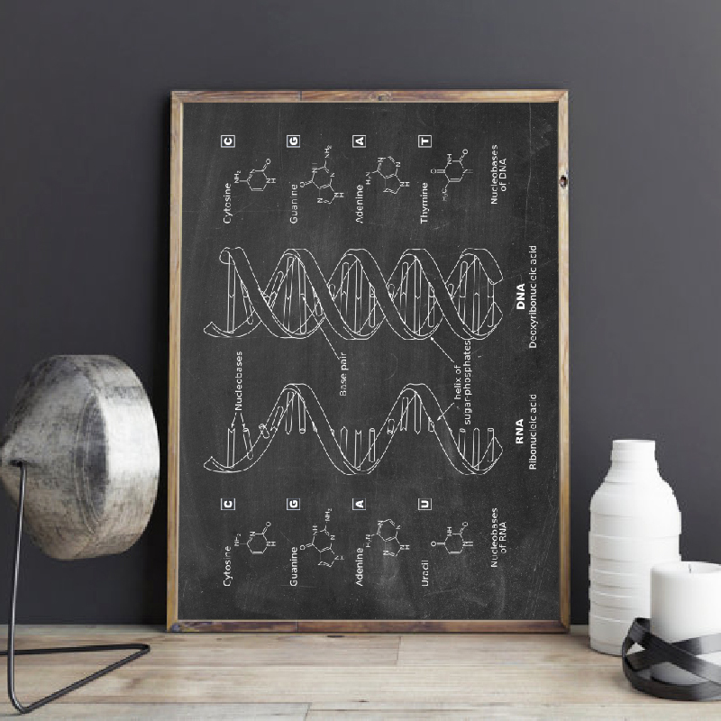 Star Map Poster - DNA Patent Wall Art Posters, Biology