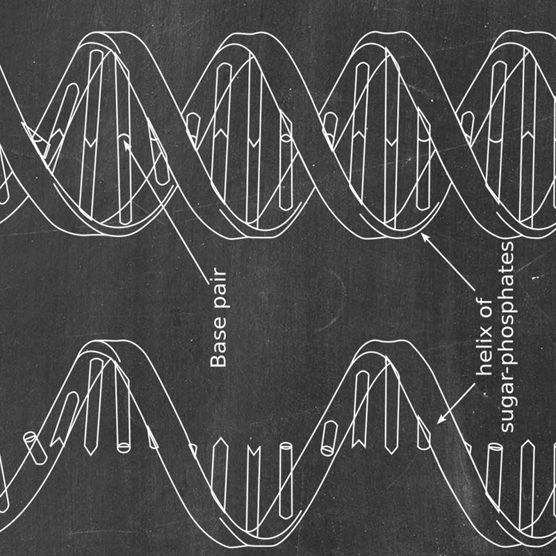 DNA Patent Wall Art Posters, B - Star Map Poster avis et prix