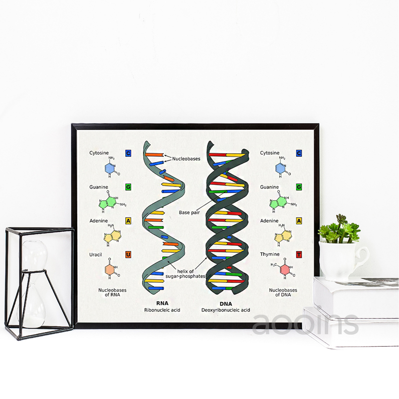 DNA Patent Wall Art Posters, B - Star Map Poster avis et prix