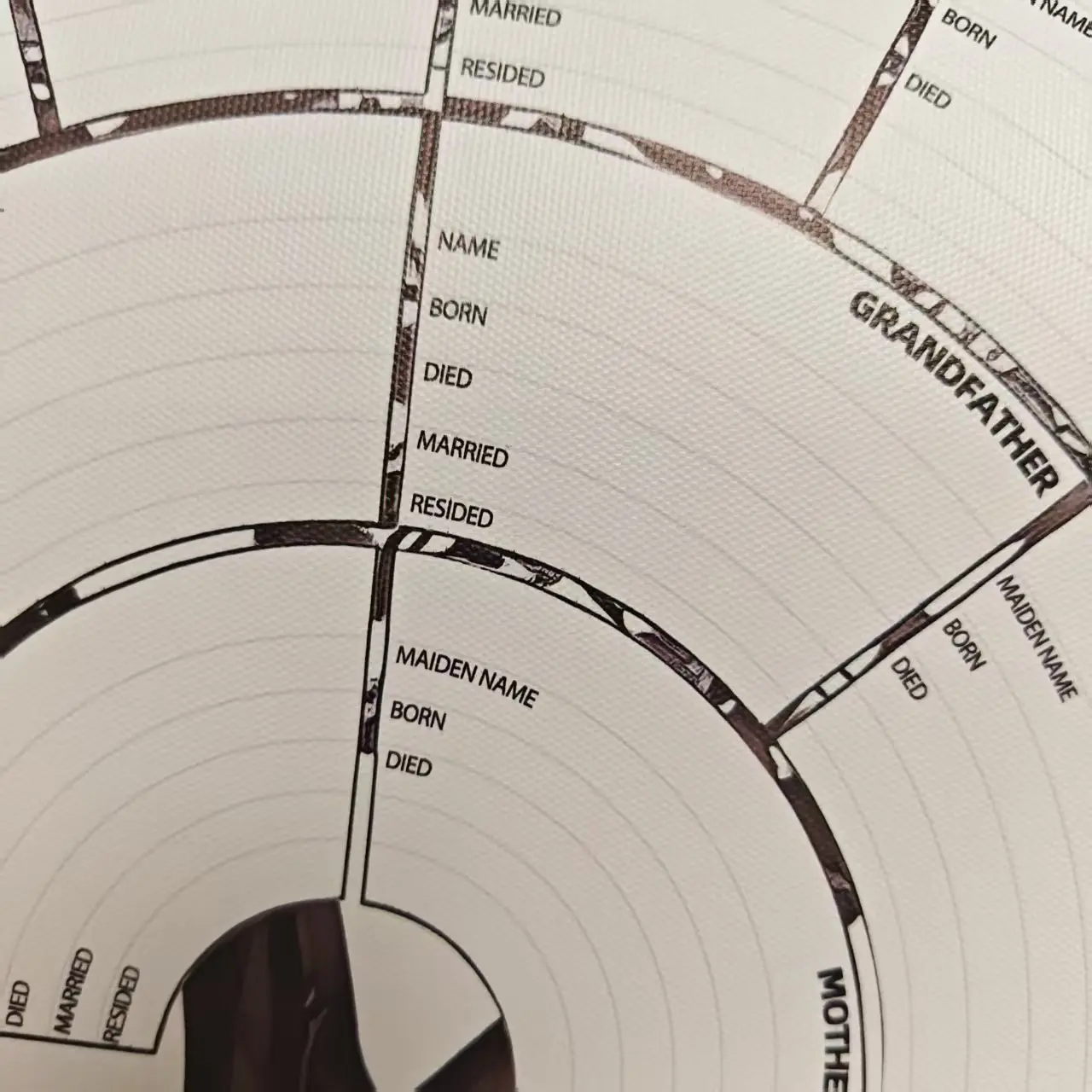 Tableau d'ancêtre généalogique - Star Map Poster avis et prix