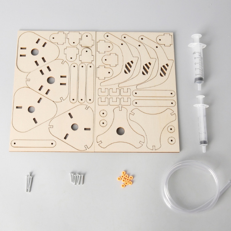 Kit de jouets de modélisme de  - Science Project Kit avis et prix